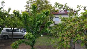 a car parked in front of a house with trees at Rent0nline Brwinow Rooms in Brwinów