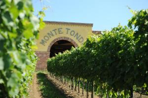 Fotografie z fotogalerie ubytování Monte Tondo Winery v destinaci Soave