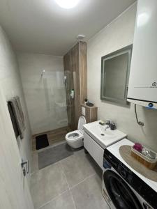 un bagno con wc, lavandino e doccia di TARA & SPA apartment Kolasin a Kolašin