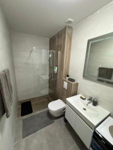 a bathroom with a shower and a toilet and a sink at TARA & SPA apartment Kolasin in Kolašin +27 photos