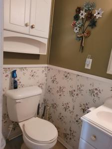 a bathroom with a toilet and flowers on the wall at Castaways Cottage on Croton Pond #5 in Newaygo