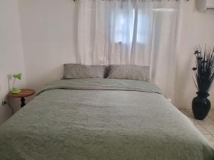 a bed in a room with a window with a bedspread at Evelin's On The Beach in Montego Bay