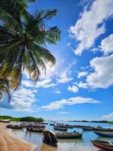 a palm tree and boats on the beach at Kayma Beach in Guriú
