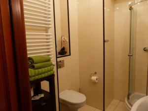un baño con inodoro y ducha en Apartament 10 Poranek - Pod Aniołem, en Kazimierz Dolny 8 fotos más
