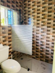 une salle de bain avec toilettes et douche en verre dans l'établissement Villa de Grupo 16, Piscina Natural, Jacuzzi, Granja y Mascotas, Rosa & Deivi te esperan, à Villa Altagracia