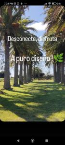 Gambar di galeri bagi Entre Palmeras y Lavandas di Riachuelo