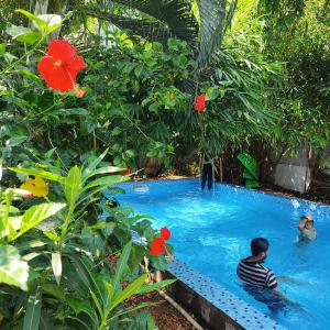Bazén v ubytování Vanam Pool Stay nebo v jeho okolí