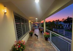 Ospiti di Fiji Sky City近機場商圈可做飯有冷氣 con animali domestici