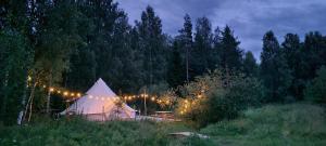 a tent with lights in a field at night at Slow Life Sweden - Family Glamping Tent Poppel 