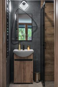 a bathroom with a sink and a mirror at Domek Pod Czereśnią in Szczawnica
