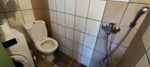 a bathroom with a toilet and a shower at koule Tasoula in Monemvasia +20 photos