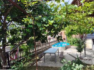 Bassein majutusasutuses Shota's Guest House või selle lähedal