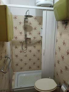 a small bathroom with a toilet and a shower at Villa Mirabelli in Tropea +56 photos
