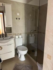 a bathroom with a toilet and a sink and a shower at Kollari Apartments in Ulcinj +28 photos