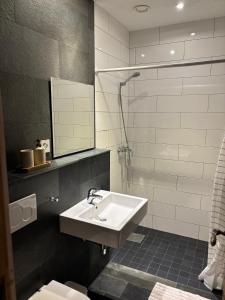 英格堡Genuine mountain holiday apartment in Engelberg的带水槽、淋浴和马桶的浴室