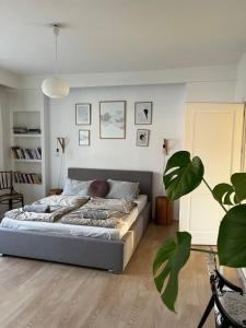 a bedroom with a bed and a potted plant at Apartamenty Rajcza in Rajcza