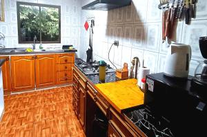 eine Küche mit Holzschränken und einer Arbeitsplatte in der Unterkunft Chalet Valdivia in Valdivia