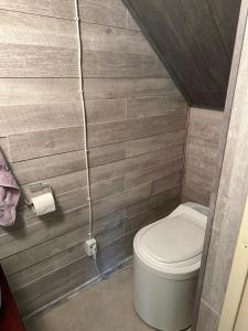 a small bathroom with a toilet and wooden walls at Lillby Bed and breakfast2 in Lehtinen