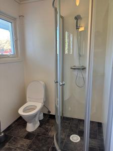 a bathroom with a toilet and a shower at Nice apartment with 2 bedrooms and lovely view in Varhaug +9 photos