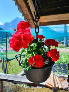 Phong cảnh thiên nhiên gần căn hộ