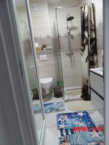 a bathroom with a shower and a toilet at Apartament DelyMar in Agigea +16 photos