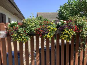 Vonkajšia záhrada v ubytovaní Ferienwohnung Casa Flora