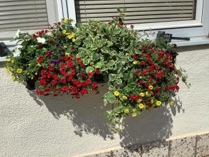 Vonkajšia záhrada v ubytovaní Ferienwohnung Casa Flora