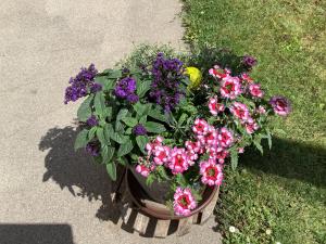 Vonkajšia záhrada v ubytovaní Ferienwohnung Casa Flora