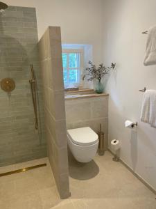 a bathroom with a toilet and a shower with a window at Le Mas de Caroline in Gargas +41 photos