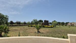 Gallery image of B&B L'Albero d'Oro in Sava +34 photos