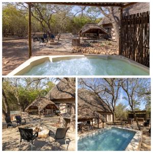 Πισίνα στο ή κοντά στο Elephants Hide