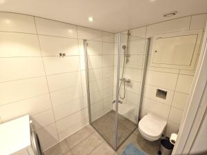 un bagno con doccia e WC di Modern brand new apartment a Kongsberg Altre 15 foto