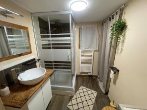 a bathroom with a sink and a glass shower at Mazot en Abondance in Vacheresse