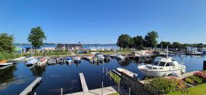 Φυσικό τοπίο κοντά σε αυτό το σαλέ +47 φωτογραφίες