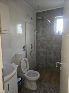 a bathroom with a toilet and a sink and a shower at Villa Aqua Vista in Mostar