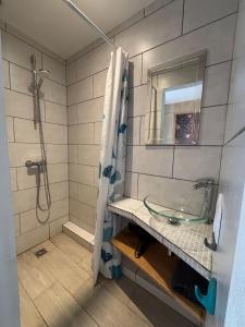 Koupelna v ubytování residence la Salamandre kamers