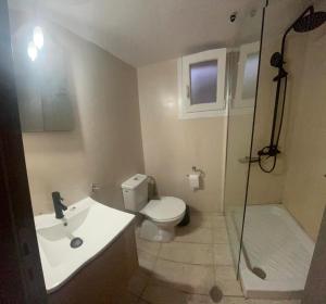 a bathroom with a toilet and a shower and a sink at Katofli Holiday Home in Triovasálos