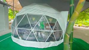 Ban Nong Khai Naoสวนบ้านเราแคมป์ Our Garden Camp的人工人工人工人工人工人工人工人工人工人工人工人工人工人工人工人工人工人工人工人工人工人工人工人工人工人工人工人工人工人工人工人工人工人工人工人工人工人工人工人工人工人工人工人工人工人工人工人工人工人工人工人工人工人工人工人工人工人工人工人工人工人工人工人工人工人工人工人工人工人工人工人工人工人工人工人工人工人工人工人工人工人工人工人工人工人工人工人工人工人工人工人工人工人工人工人工人工人工人工人工人工人工人工人工人工人工人工人工人工人工人工人工人工人工人工人工人工人工人工人工人工人工人工人工人工人工人工人工人工人工人工人工人工人工人工人工人工人工人工人工人工人工人工人工人工人工人工人工人工人工人工人工人工人工人工人工人工人工人工人工人工人工人工人工人工人工人工人工人工人工人工人工人工人工人工人工人工人工人工人工人工人工人工人工人工人工人工人工人工人工人工人工人工人工人工人工人工人工人工人工人工人工人工人工人工人工人工人工人工人工人工人工人工人工人工人工人工人工人工人工人工人工人工人工人工人工人工人工人工人工人工人工人工人工人工人工人工人工人工人工人工人工人工人工人工人工人工人工