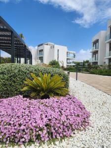 Gallery image of ELEVENLIGHTS-COSTABALLENA Garden View in Costa Ballena