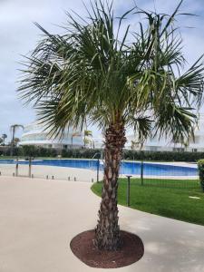 Gallery image of ELEVENLIGHTS-COSTABALLENA Garden View in Costa Ballena +221 photos