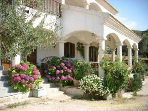a house with potted plants and flowers in front of it at residence u filipaghju in Galeria