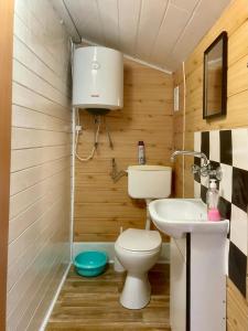 a small bathroom with a toilet and a sink at Kazikówka - Domki letniskowe w Solinie in Solina +20 photos