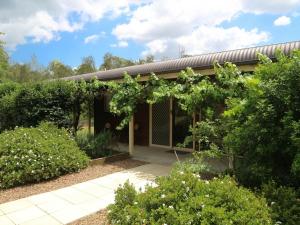 a garden with a pergola in front of a house at Misty Glen Cottage in Pokolbin