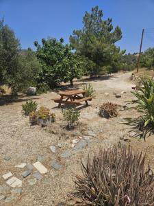 Fotografie z fotogalerie ubytování Kallithea Villa v destinaci Kato Yialia