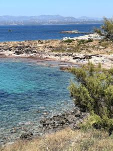 Galeriebild der Unterkunft Il Maestralino, nice apartment with courtyard in Calasetta