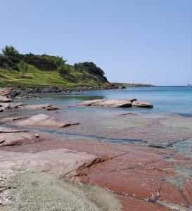 Galeriebild der Unterkunft Il Maestralino, nice apartment with courtyard in Calasetta