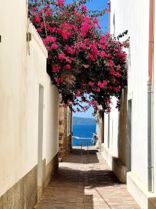 Galeriebild der Unterkunft Il Maestralino, nice apartment with courtyard in Calasetta