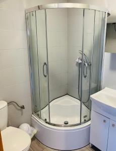 a bathroom with a shower and a toilet at Chata Bosmana i Domki Holenderskie in Rowy