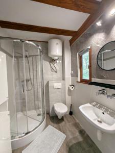 a bathroom with a shower and a toilet and a sink at Pod kogutkiem in Kruklanki +53 photos