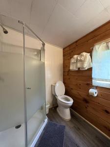 Un baño con inodoro y ducha de cristal. en Sea breeze Retreat-3-bedroom watterfront cottage, en Stanhope 7 fotos más